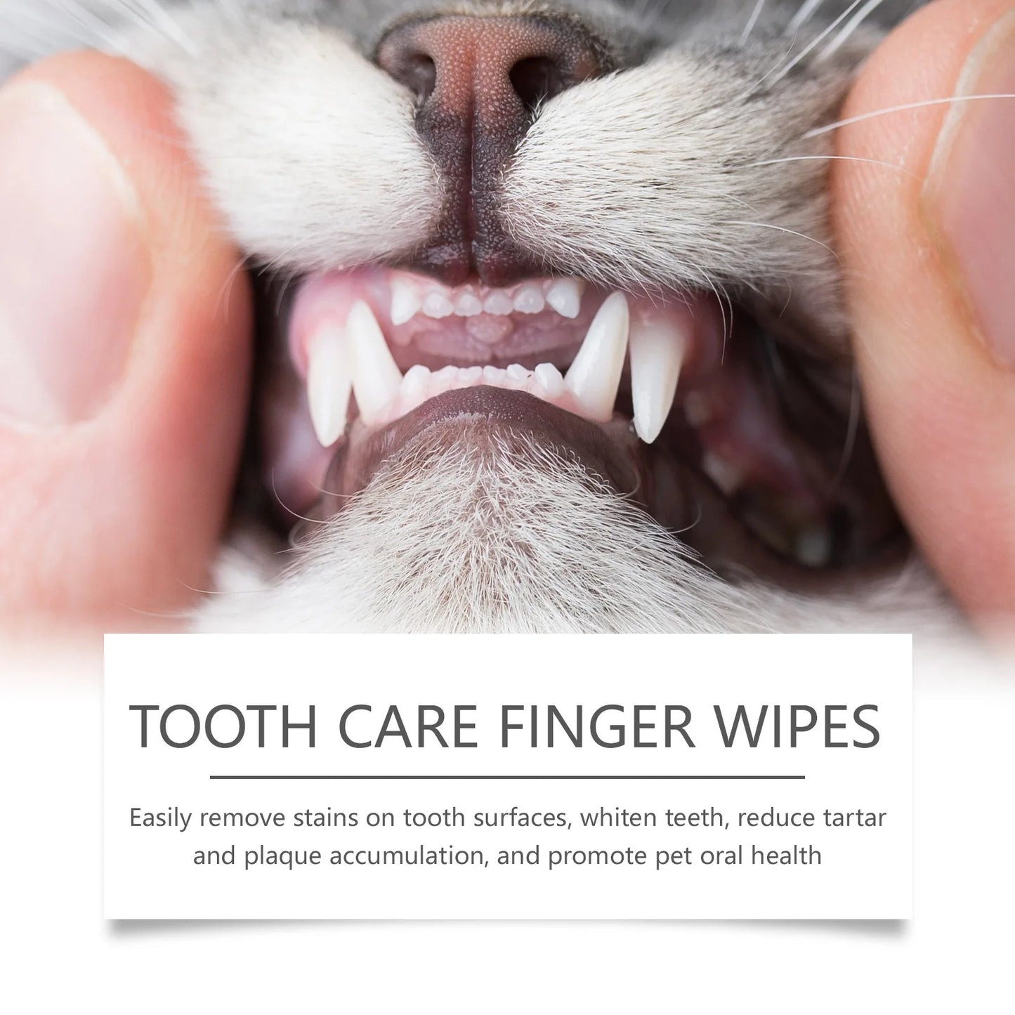 Yegbong 50pcs Pet Dental Care Finger Wipes