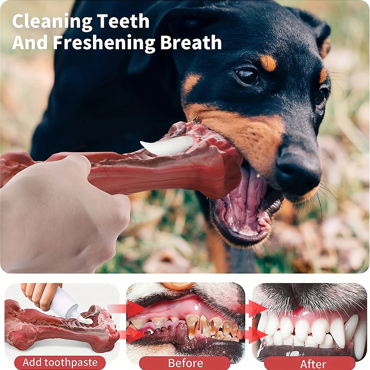 Durable dog chew for cleaning canine teeth
