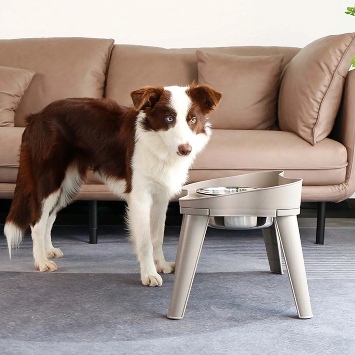 Stainless Steel Elevated Cat or Dog Bowl Non-Slip and No Spill Design for Small Medium Large Dogs