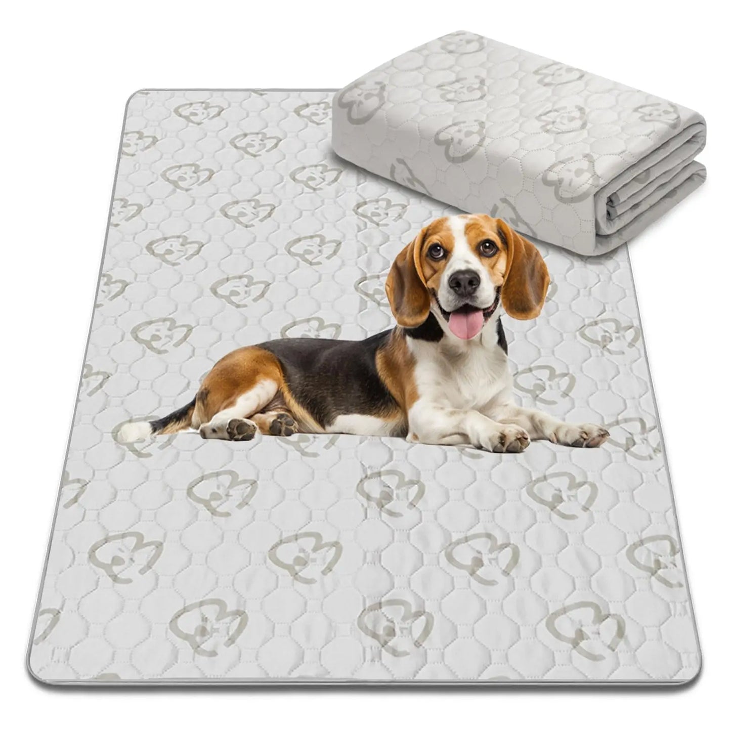 FXW Washable Pee Pads for Dogs, Puppy ,Super Absorbent for Crate, Training,