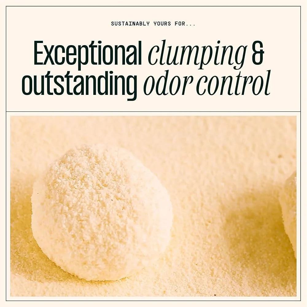 Cat Litter Unscented Natural Clumping Formula 10 lbs Exceptional Odor Control