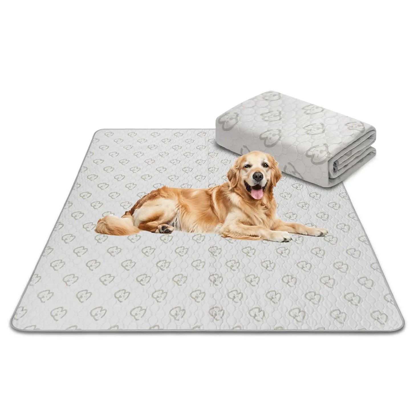 FXW Washable Pee Pads for Dogs, Puppy ,Super Absorbent for Crate, Training,