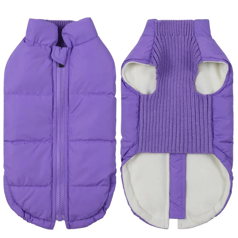 Dog Warm Cotton Coats Back Zipper Windproof for Small Medium Large Dogs Poodle French Bulldog Labrador Outfits