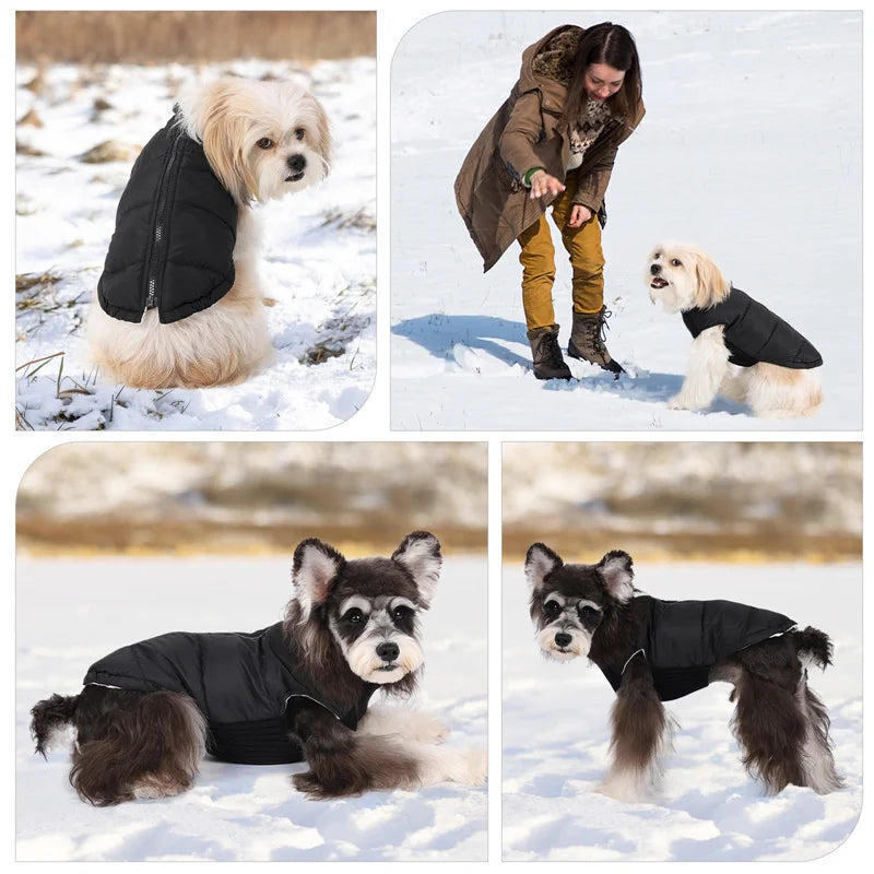 Dog Warm Cotton Coats Back Zipper Windproof for Small Medium Large Dogs Poodle French Bulldog Labrador Outfits