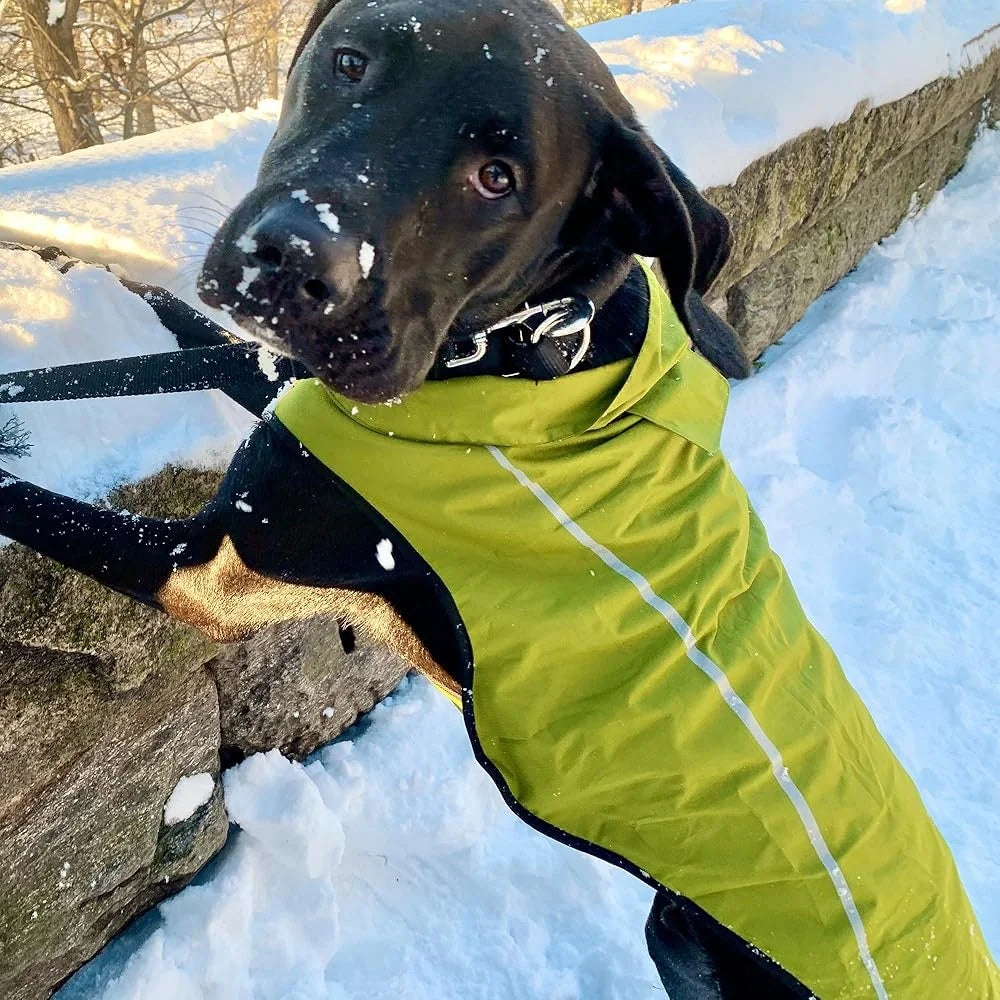 Reflective Dog Raincoat Waterproof Adjustable Lightweight and Breathable