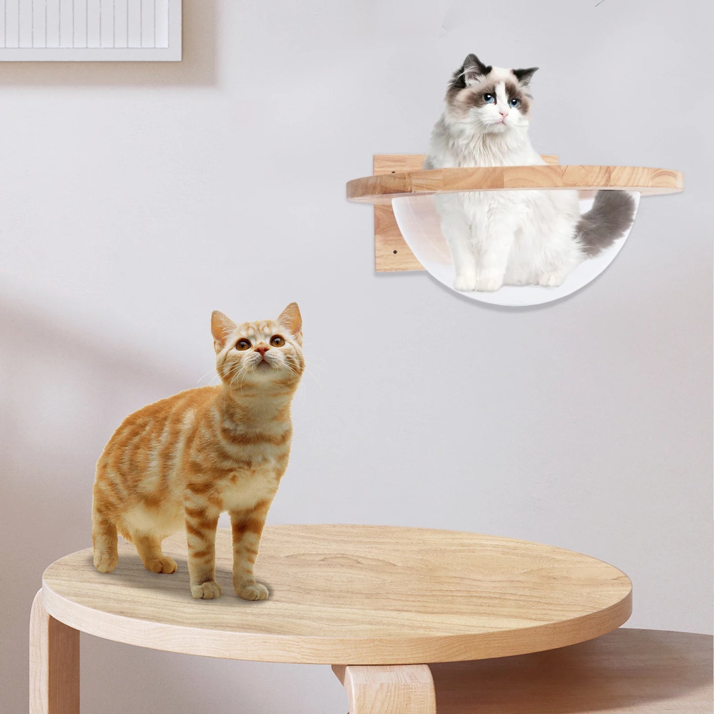 Space Capsule-style Transparent Cat Bed