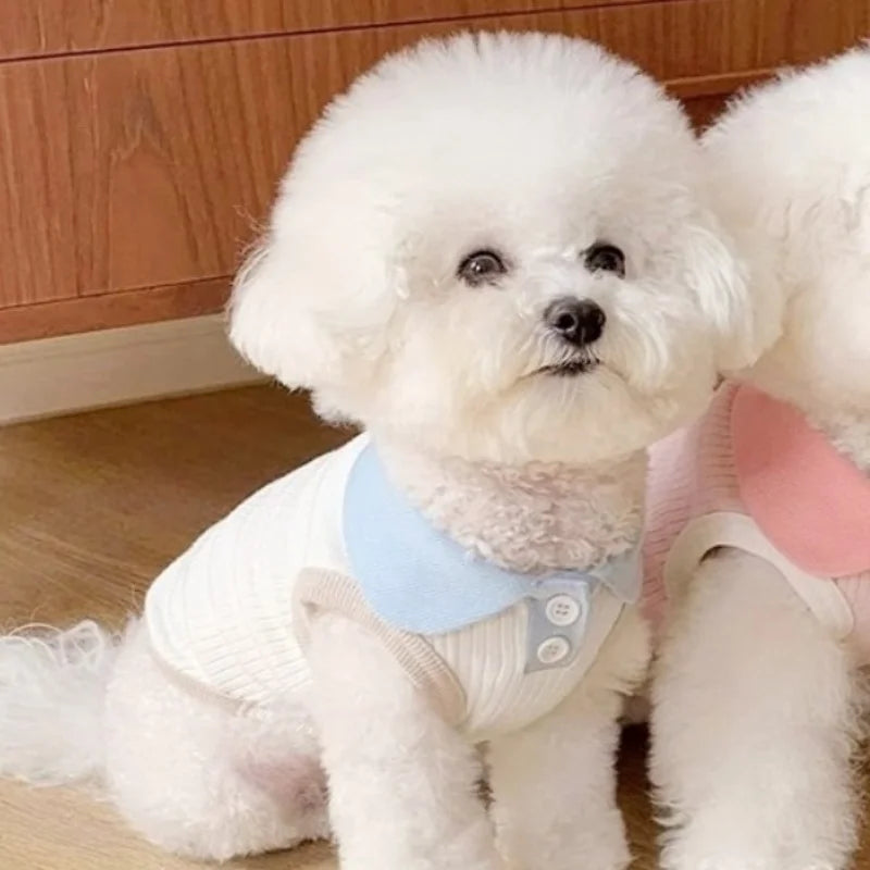 Summer Breathable Dog Shirt
