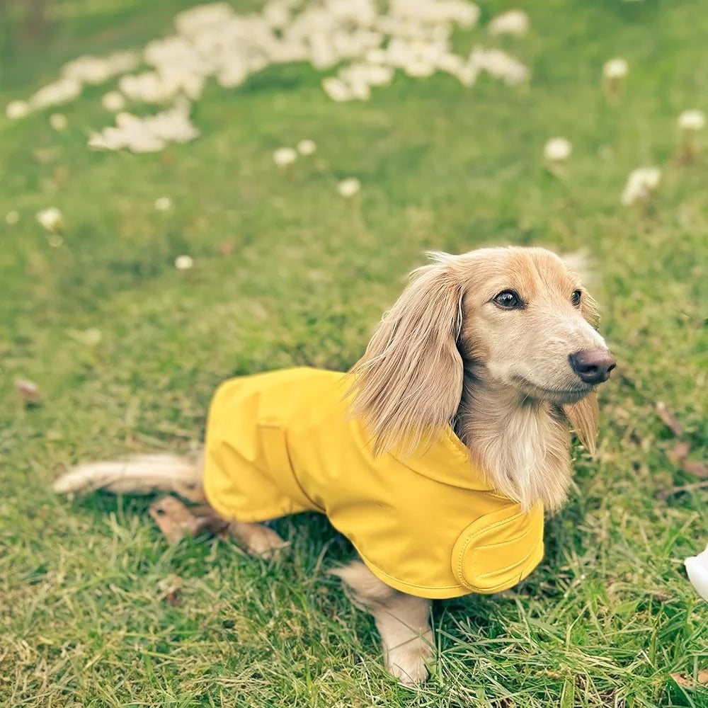 Dachshund Raincoat Long Dog Waterproof Jacket Adjustable Chest Belly Harness