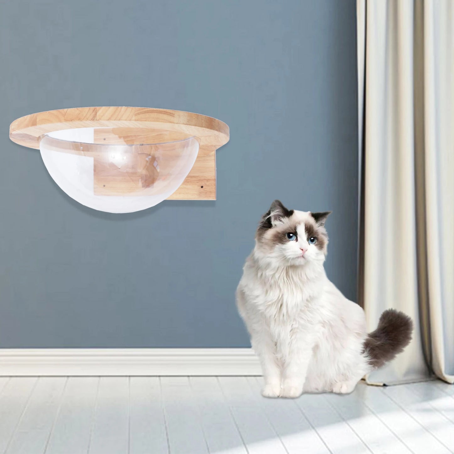 Space Capsule-style Transparent Cat Bed
