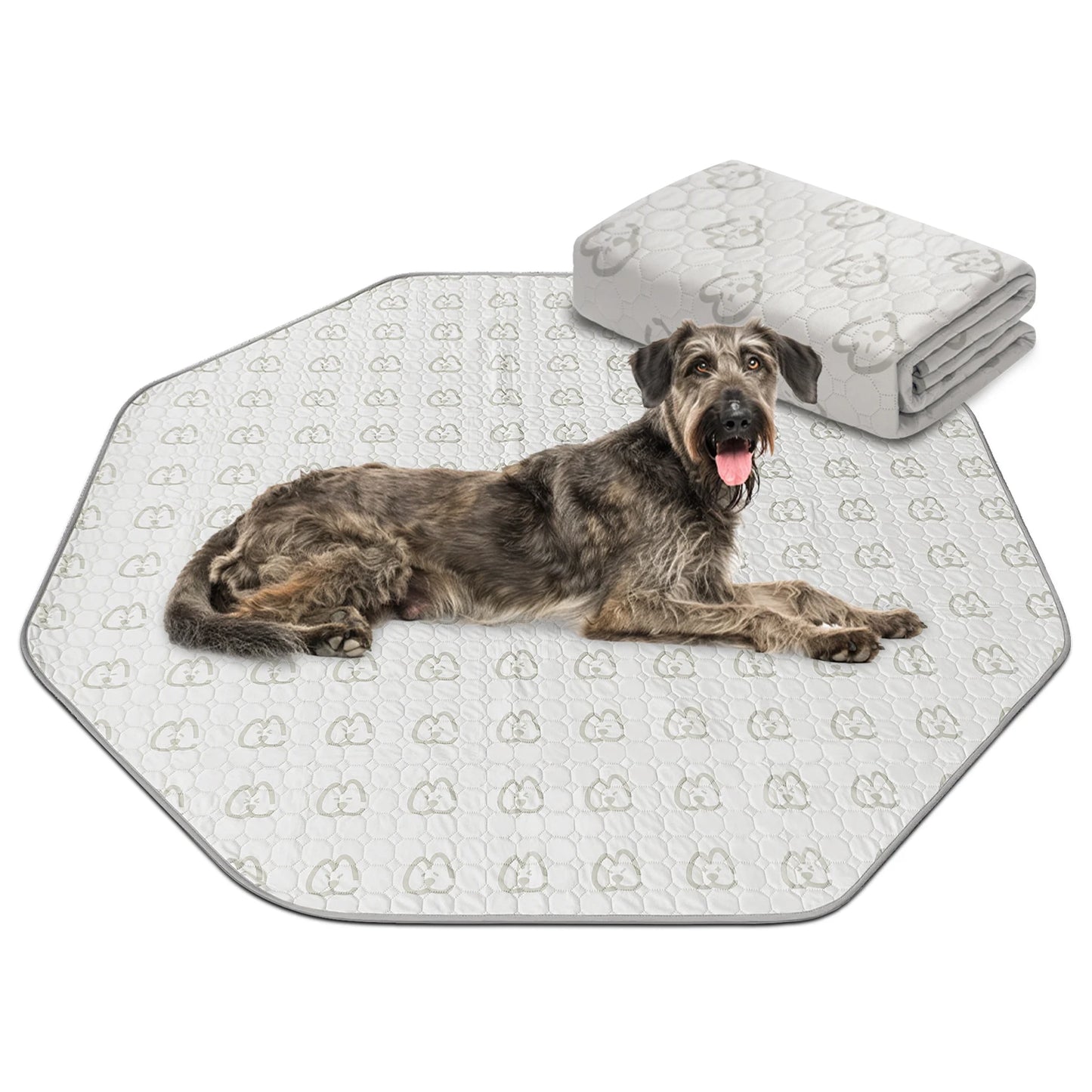 FXW Washable Pee Pads for Dogs, Puppy ,Super Absorbent for Crate, Training,