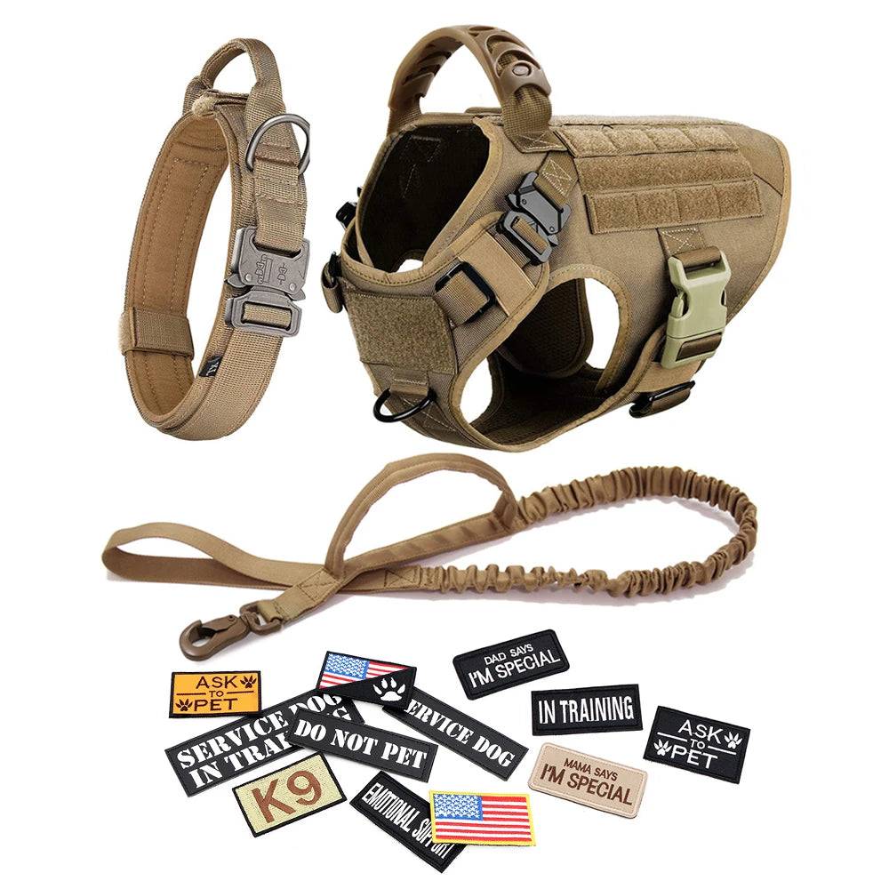 Dog Harness Leash Collar Patches Set