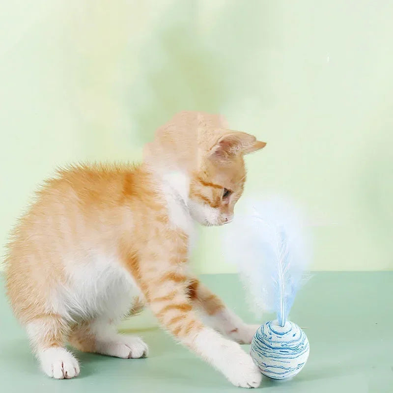 Funny Cat Toy Star Ball, Plus Feather