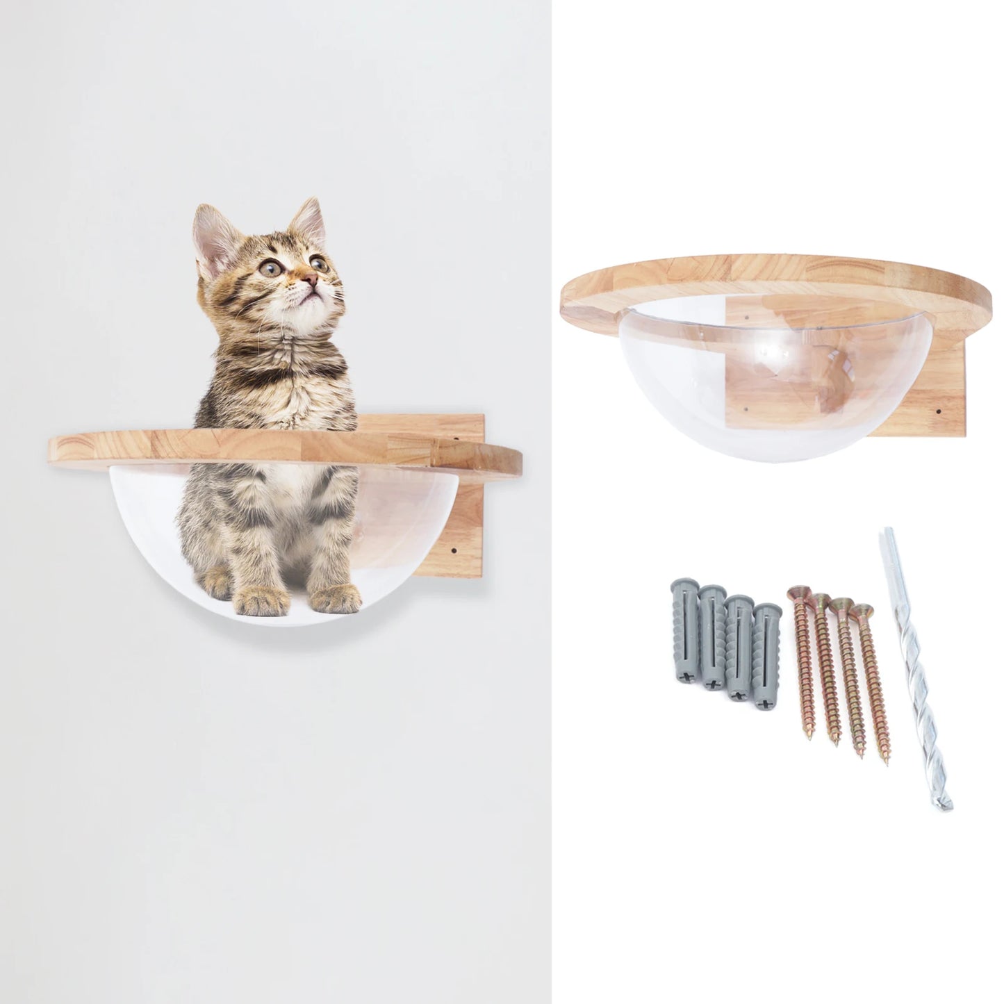 Space Capsule-style Transparent Cat Bed