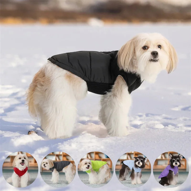 Dog Warm Cotton Coats Back Zipper Windproof for Small Medium Large Dogs Poodle French Bulldog Labrador Outfits