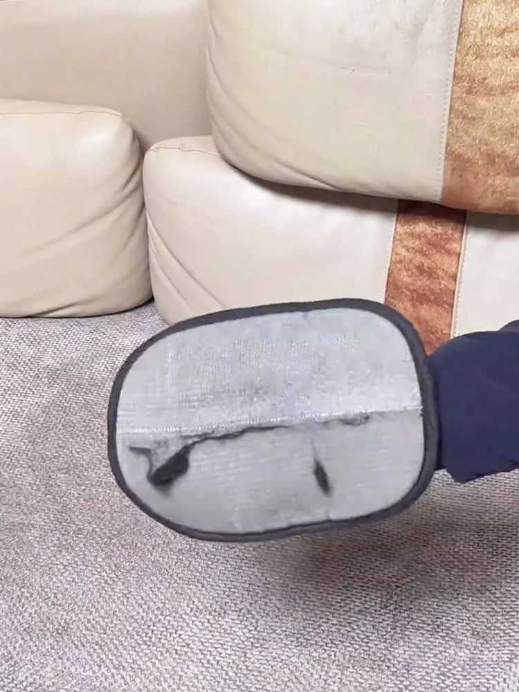 Pet Hair Remover Mitt
