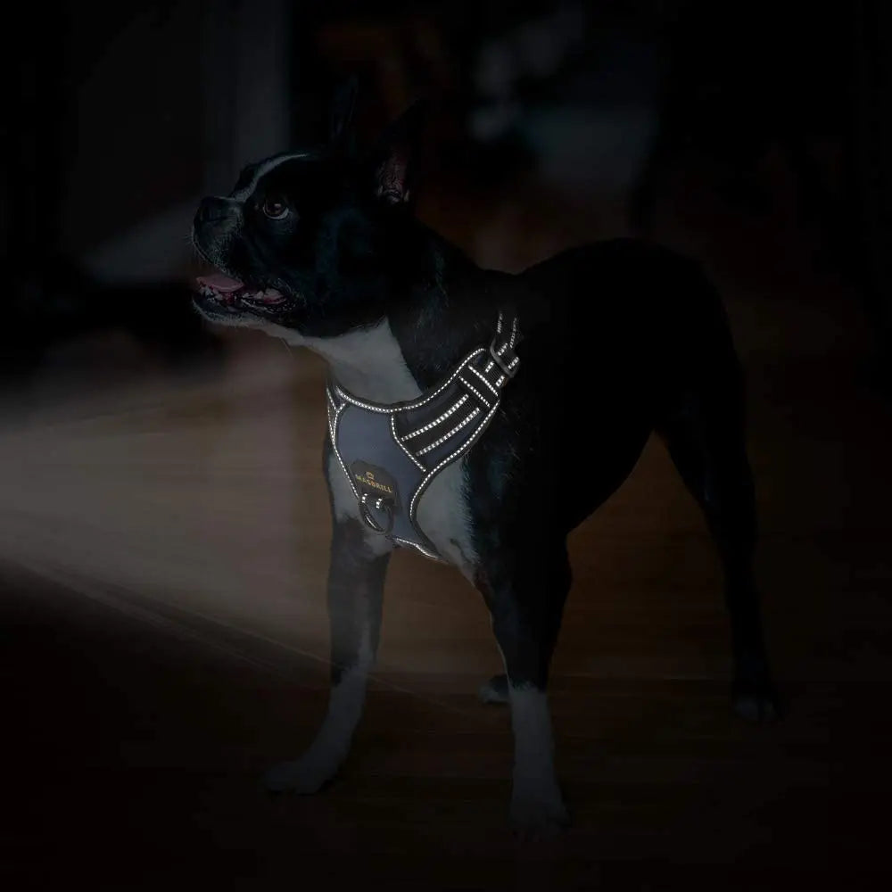 MASBRILL No Pull Nylon Adjustable Reflective Dog Harness with 2 Metal Leash Hooks