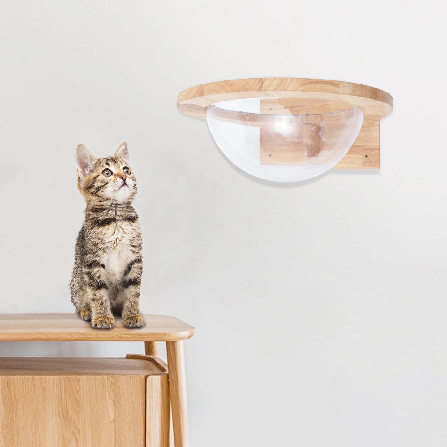 Space Capsule-style Transparent Cat Bed