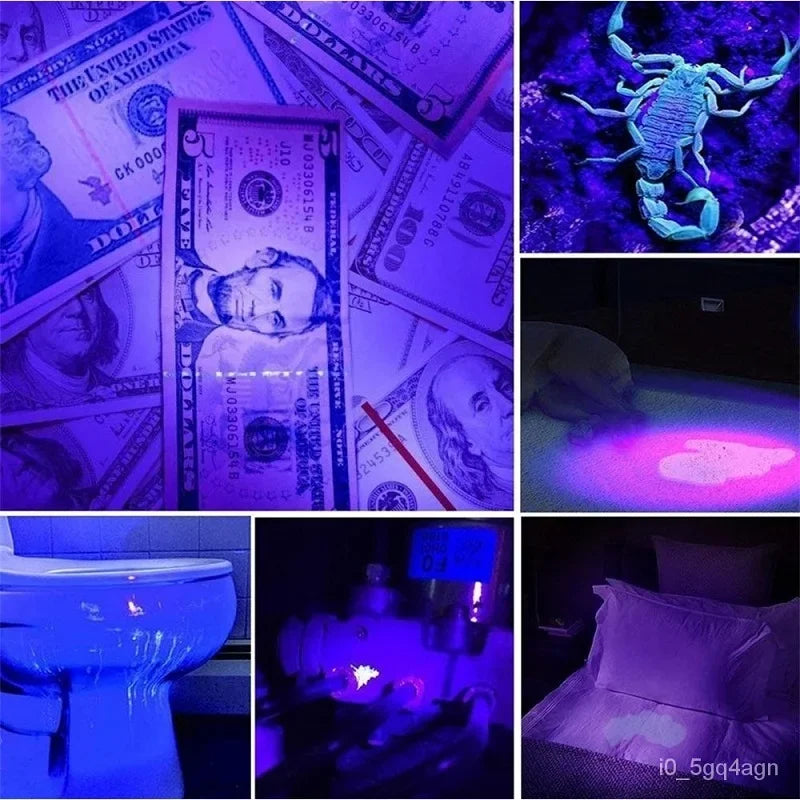 100/51/21 LED UV Flashlight Black Light Pet Urine Detector