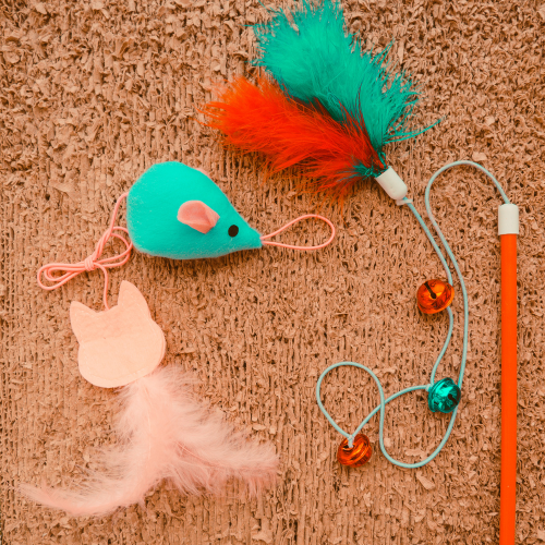 Cat Toys