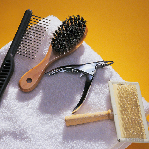 Dog Grooming Supplies