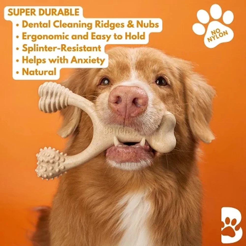 Natural Beef Nylon Free Dog Chew Bone Hypoallergenic Splinter Resistant Eco-Friendly Durable Chewing Fun