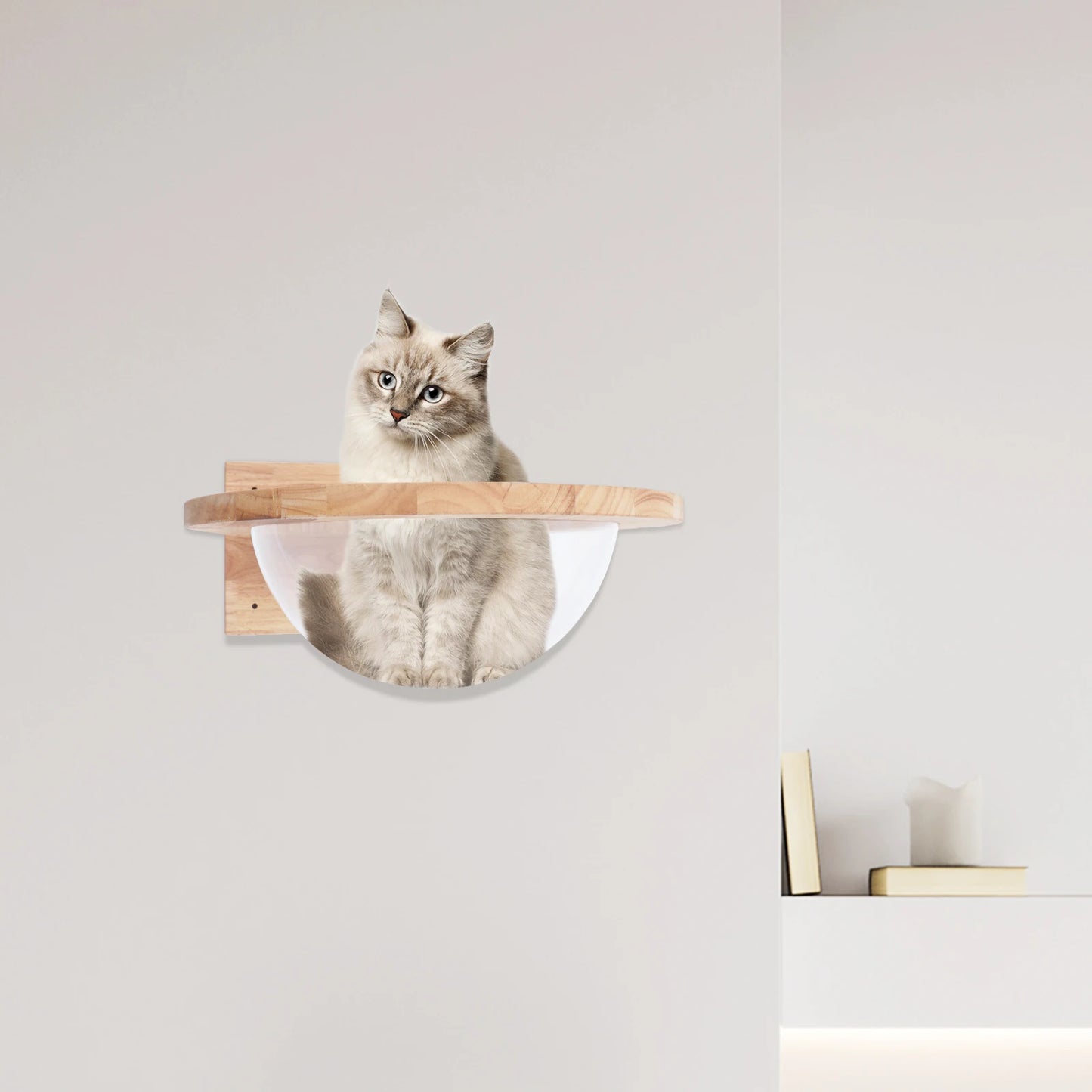Space Capsule-style Transparent Cat Bed