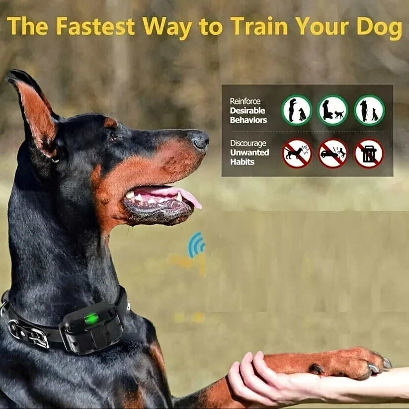 Anti Bark, Rechargeable Training Collar with Clicker