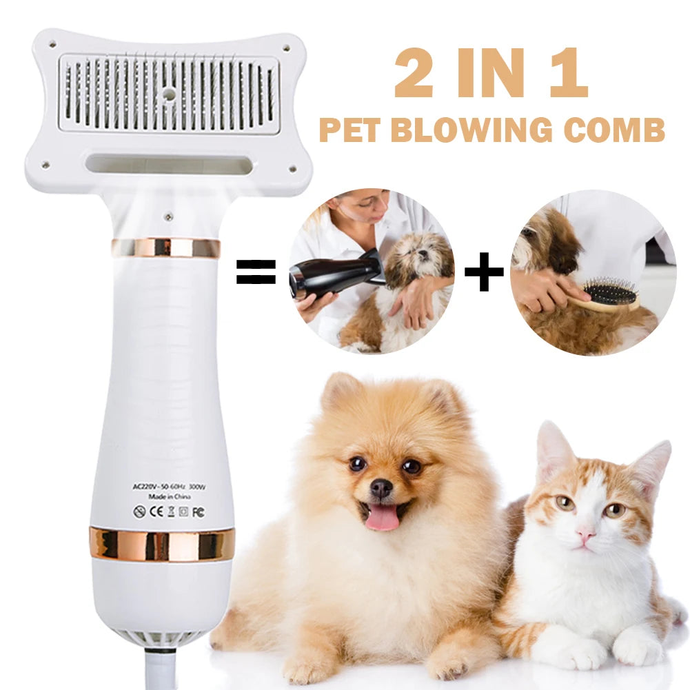 2 in 1 Portable Blow Dryer Comb