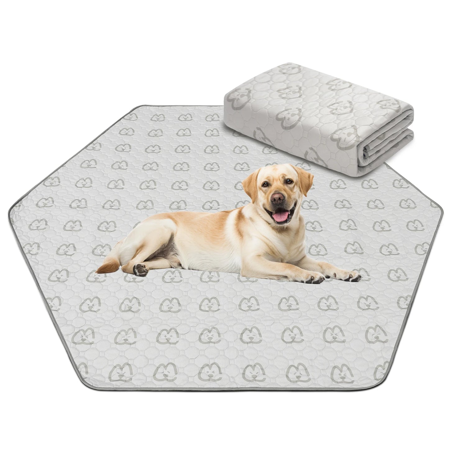 FXW Washable Pee Pads for Dogs, Puppy ,Super Absorbent for Crate, Training,