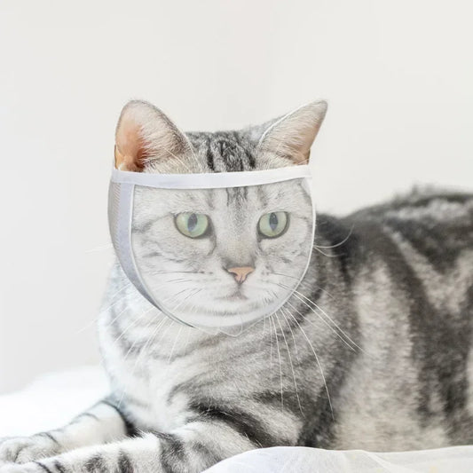 Cat Muzzle, Clear Breathable Bathing Grooming Tool.