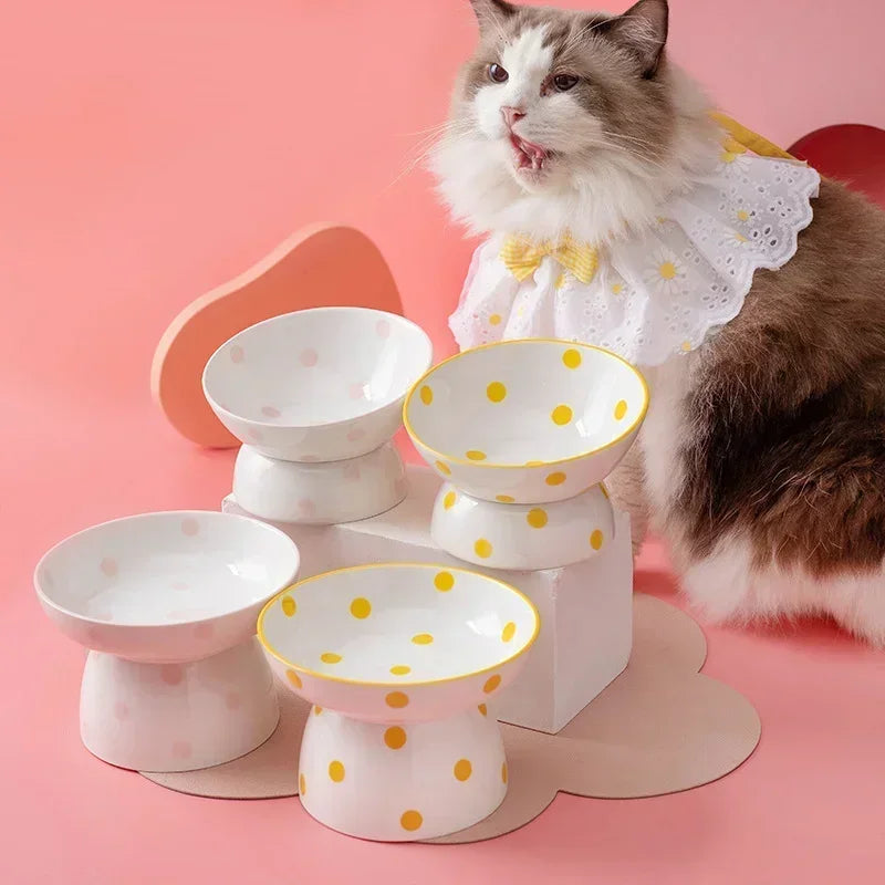 Ceramic Pet Bowl, Food and Water Feeder