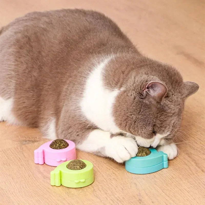 Catnip Wall Licking Ball Spherical Teeth Cleaning