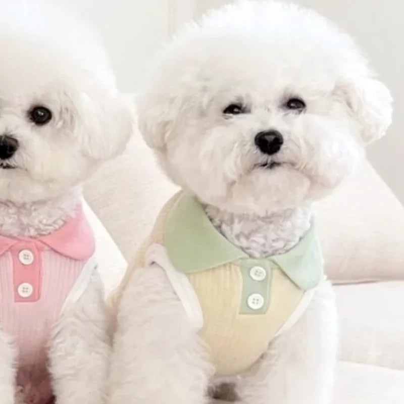 Summer Breathable Dog Shirt