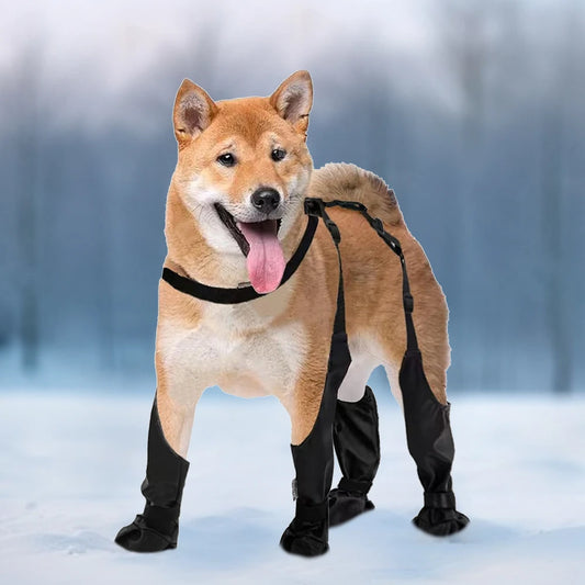 Small Medium Large Dogs Suspender Boots