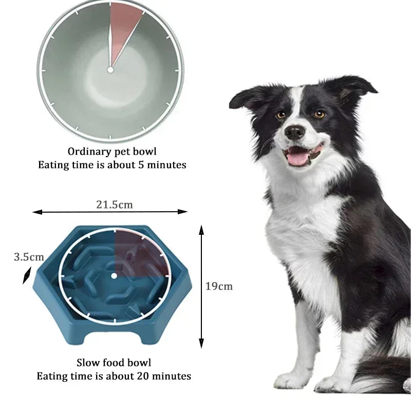 Anti Choking Slow Food Bowl Small and Medium-sized Dog Feeder