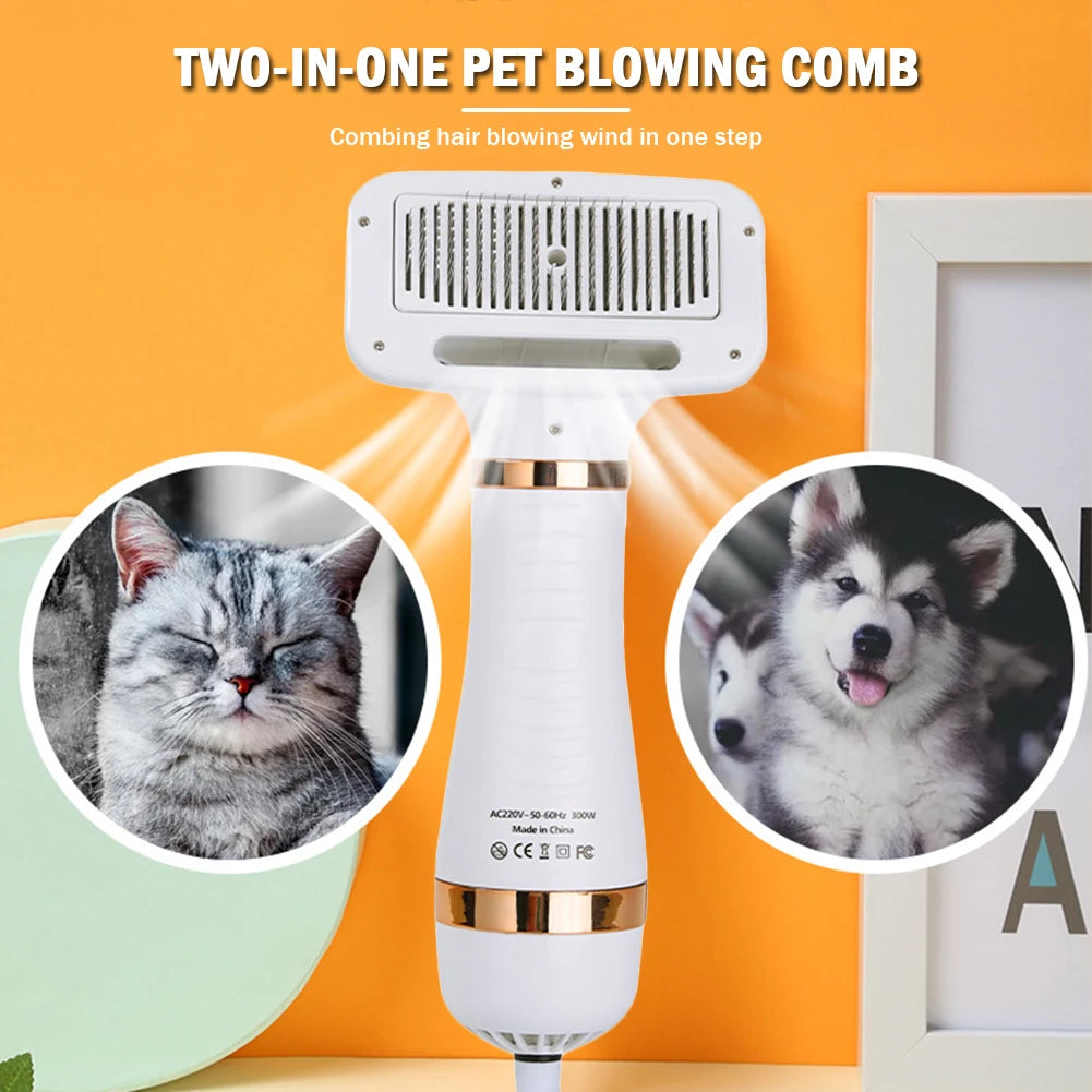 2 in 1 Portable Blow Dryer Comb