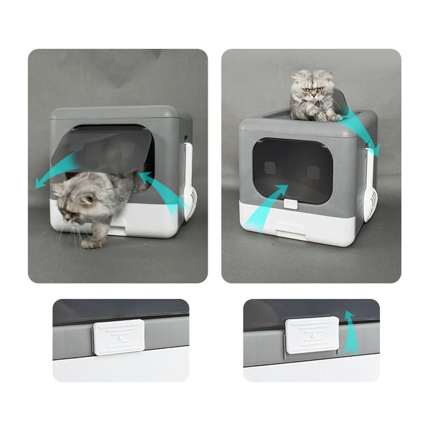 Large Plastic Spill Proof Cat Toilet