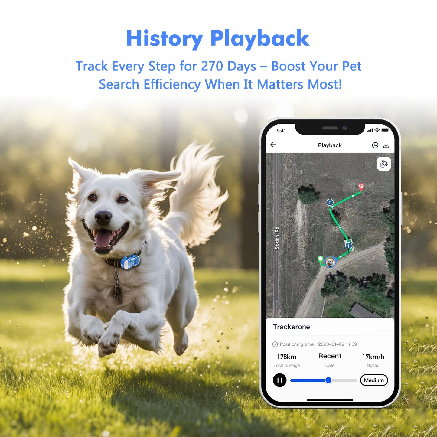 ‌4G Dog Cat GPS Tracker for Pets - Waterproof Smart Locator with App