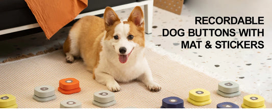 Recordable Dog Talking Buttons Set