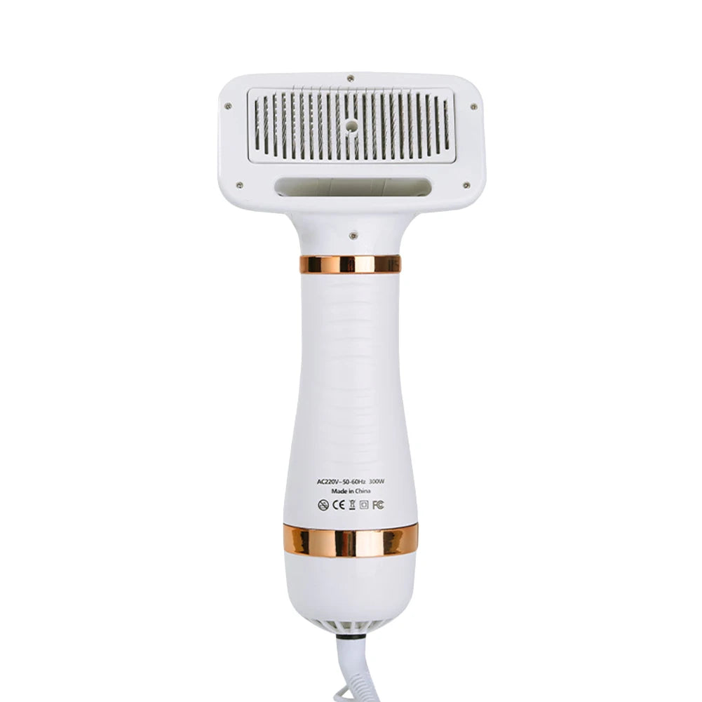 2 in 1 Portable Blow Dryer Comb