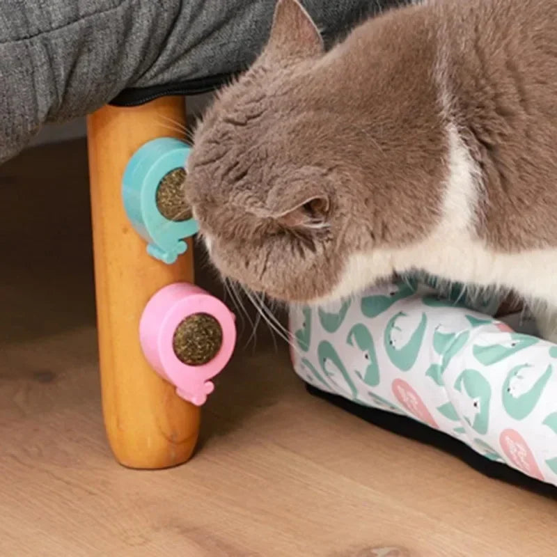 Catnip Wall Licking Ball Spherical Teeth Cleaning