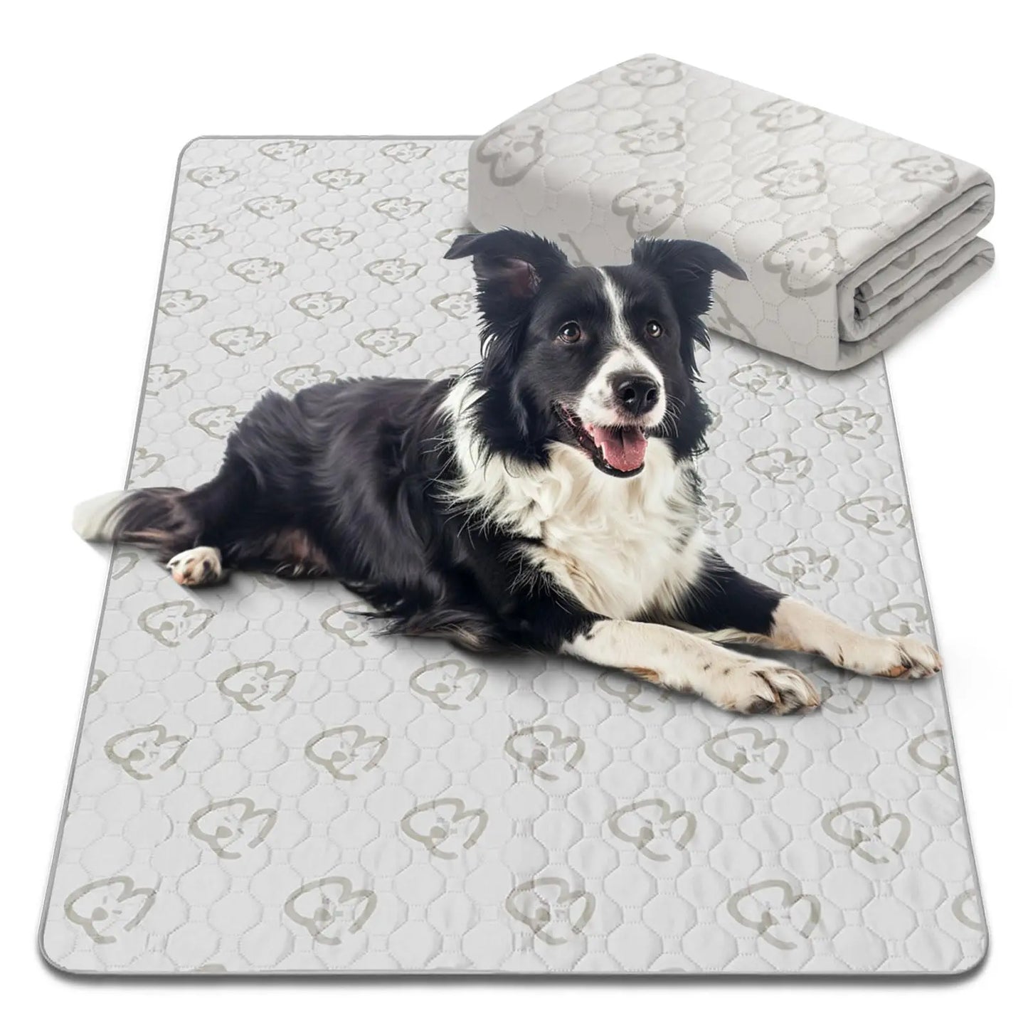 FXW Washable Pee Pads for Dogs, Puppy ,Super Absorbent for Crate, Training,