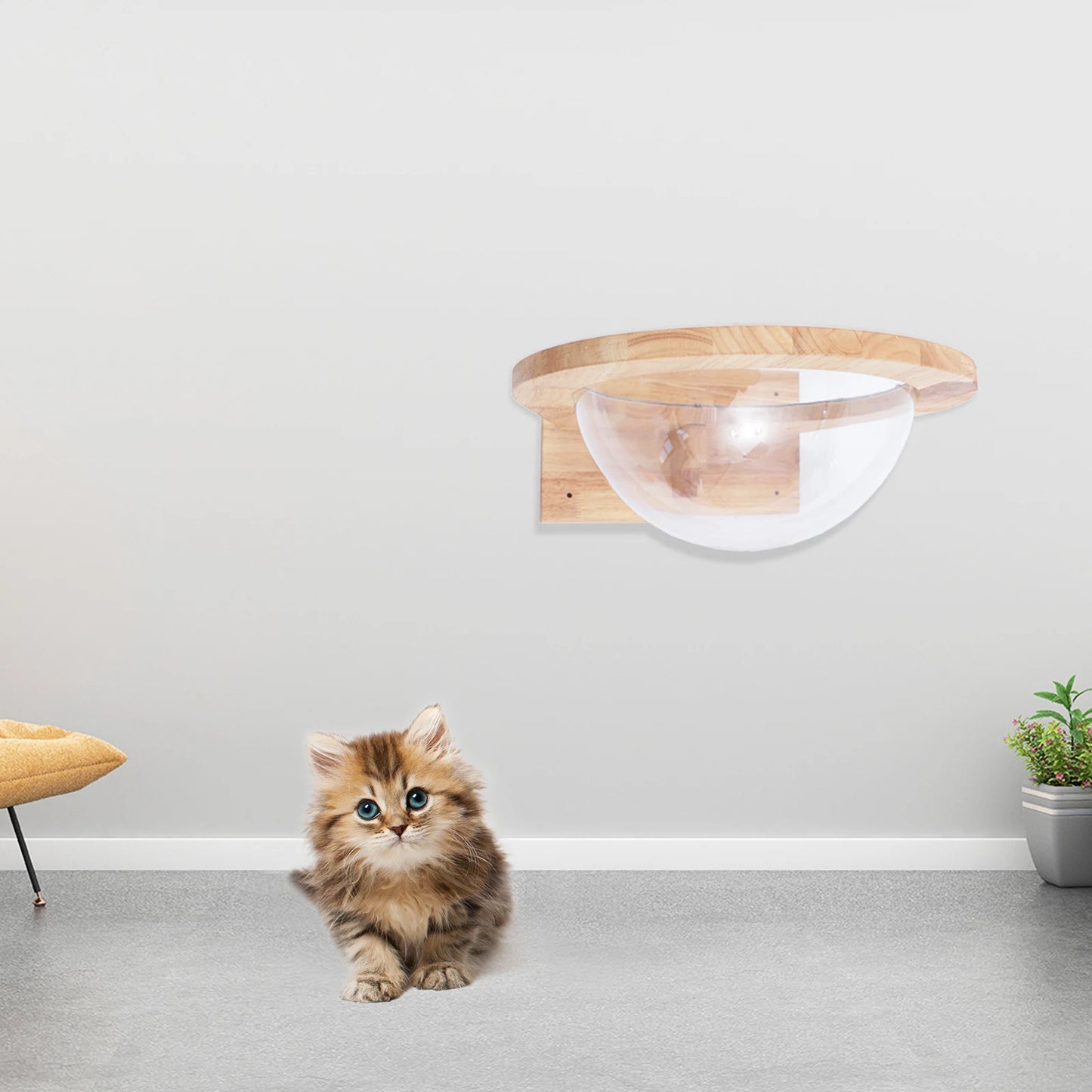 Space Capsule-style Transparent Cat Bed