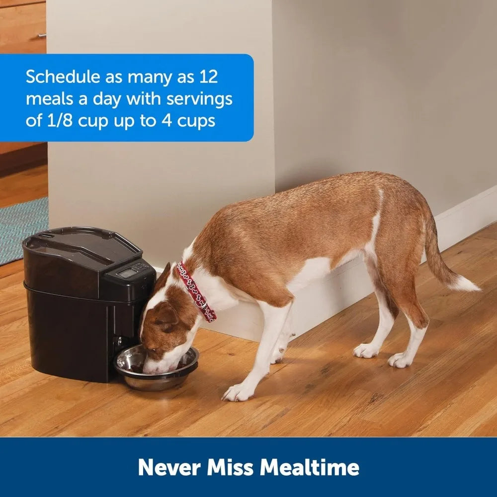 Automatic Pet Feeder for Cats Dogs - Timed, Programmable, Portion Control