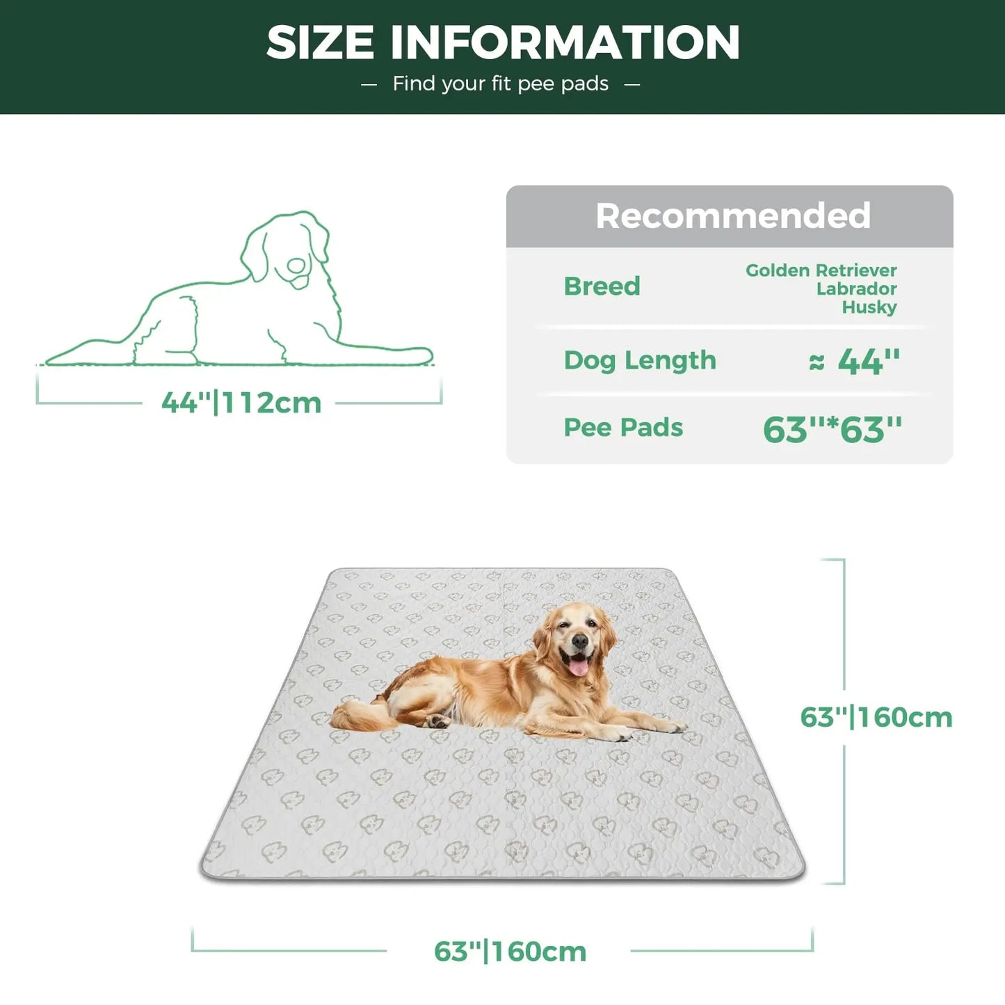 FXW Washable Pee Pads for Dogs, Puppy ,Super Absorbent for Crate, Training,
