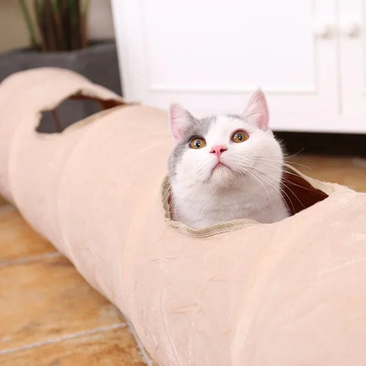 Big Long Cat Tunnel with Ball