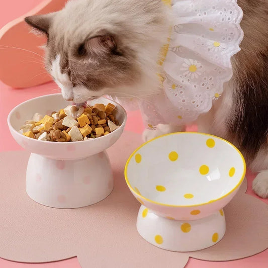 Ceramic Pet Bowl, Food and Water Feeder