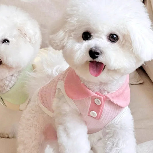 Summer Breathable Dog Shirt