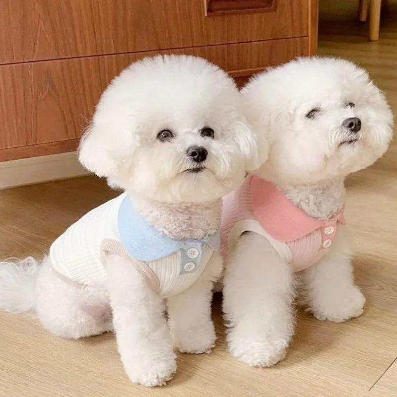 Summer Breathable Dog Shirt