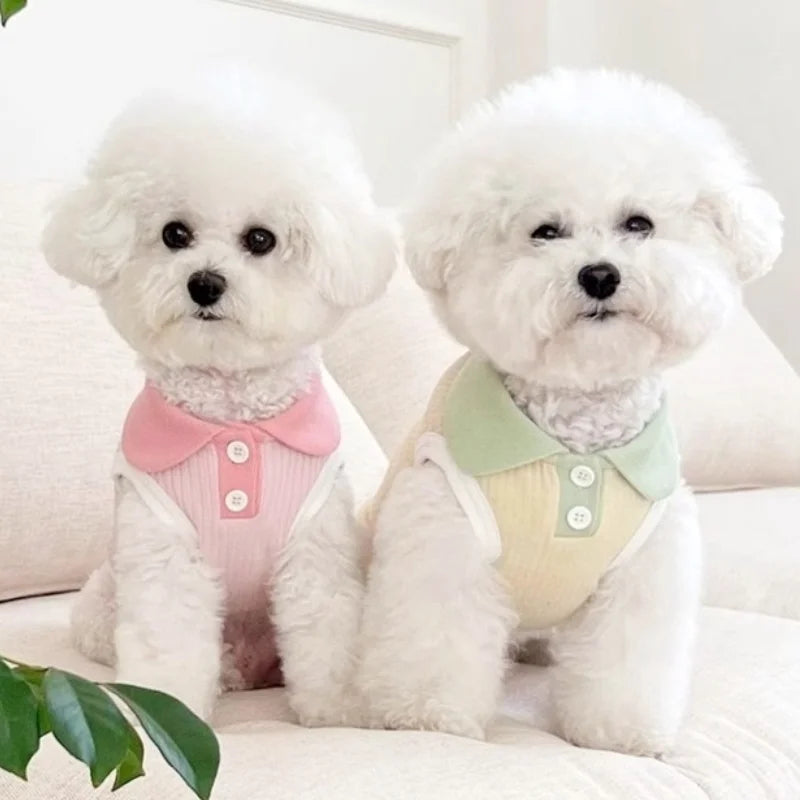 Summer Breathable Dog Shirt